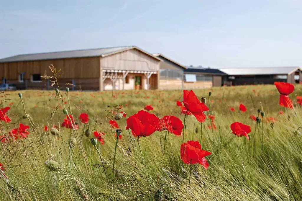 Ferme du Rondeau