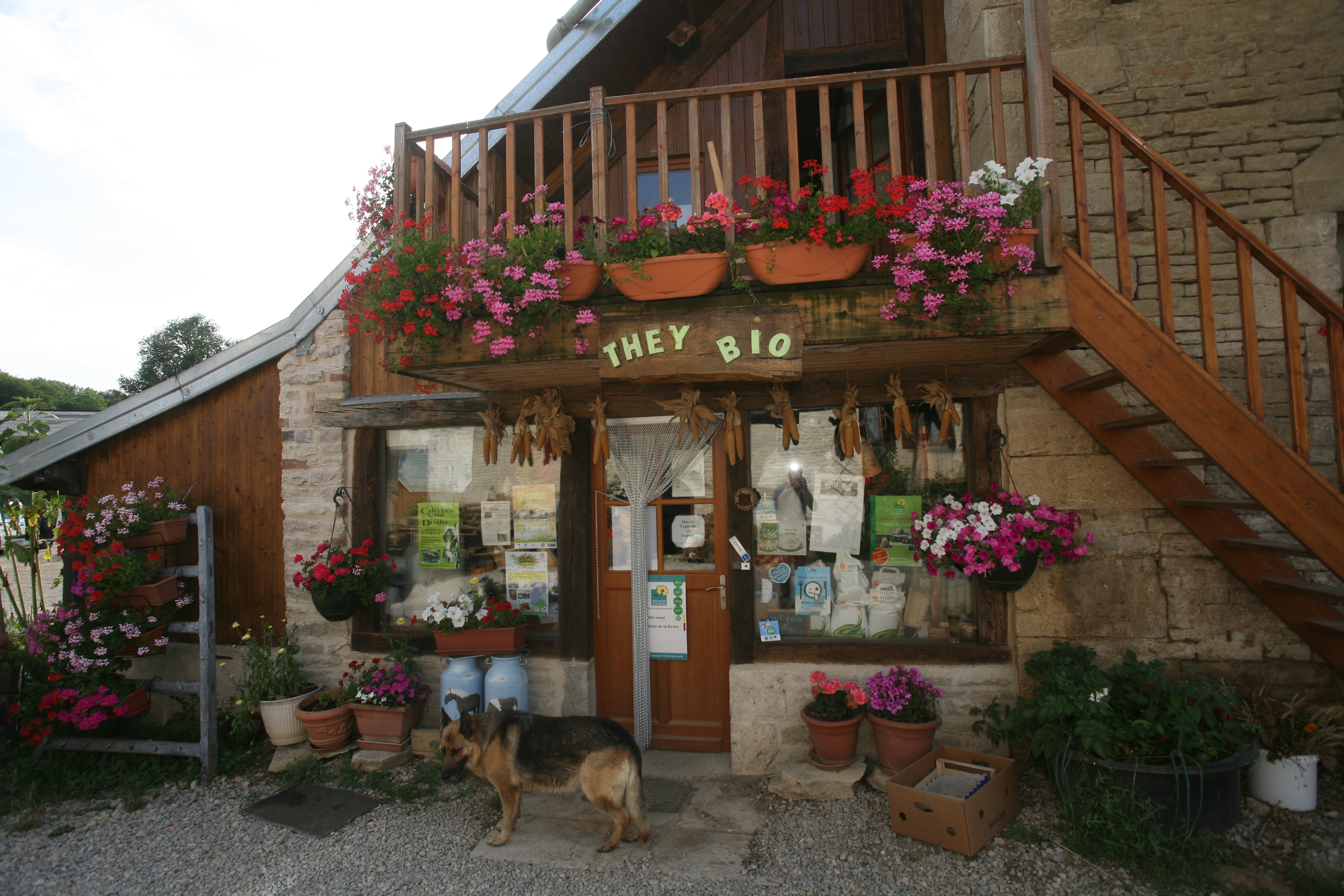 Ferme de They